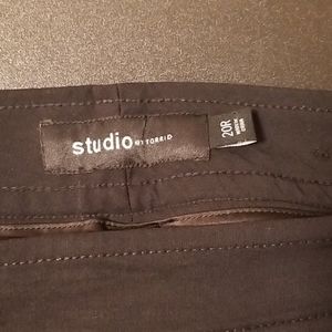 Torrid slacks